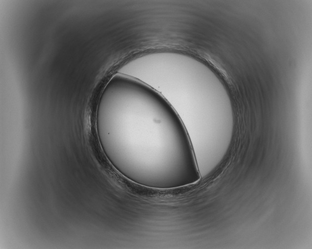 X0000116590685200912101332