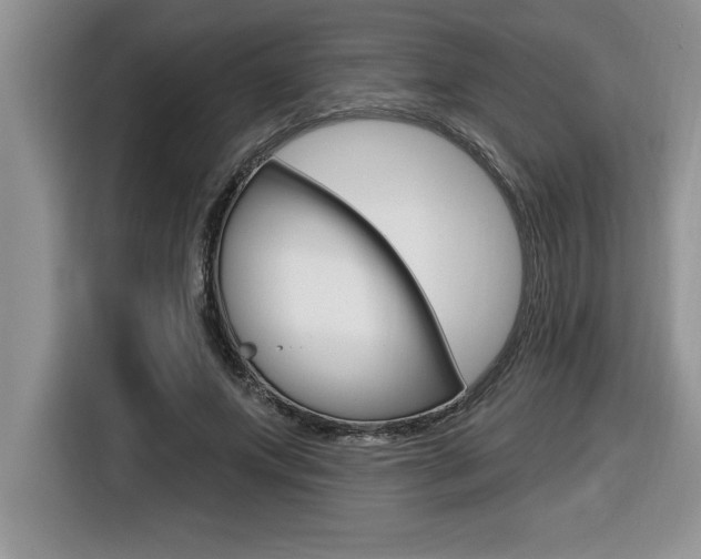 X0000116590687200912101332