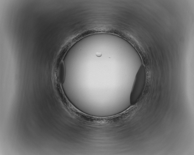 X0000116590688200912101332