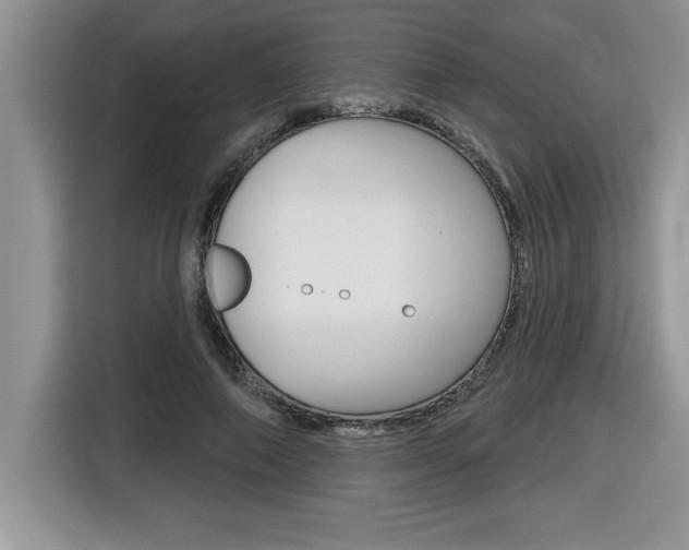X0000116590690200912101332