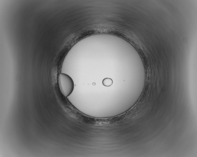 X0000116590694200912101332