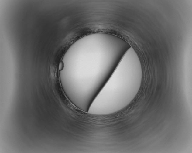 X0000116590695200912101332