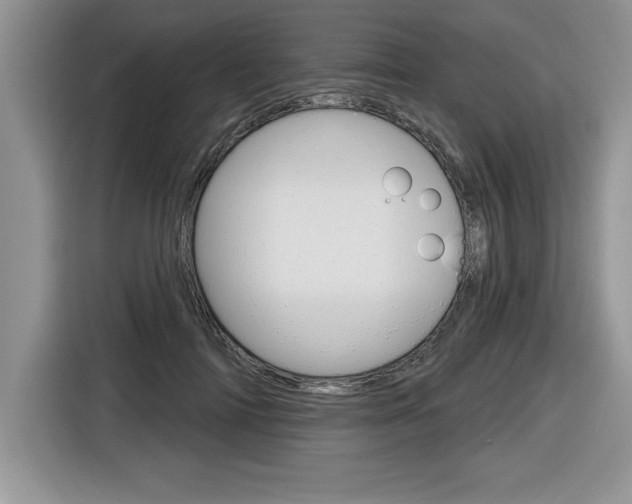X0000116590698200912101332