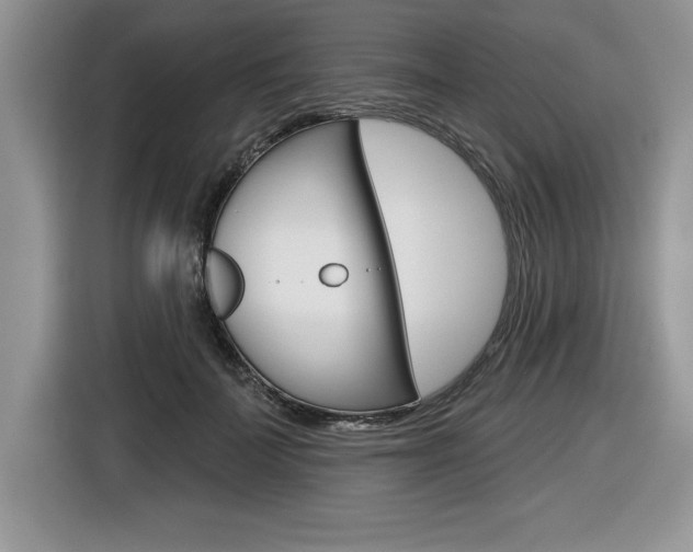 X0000116590699200912101332