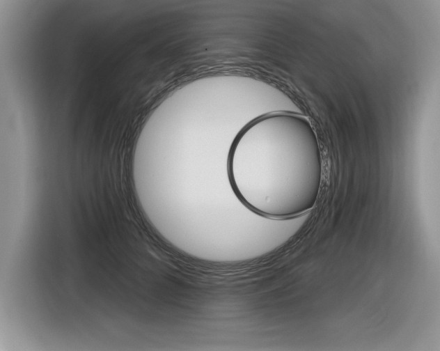 X0000116590704200912101332