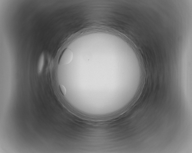 X0000116590705200912101332