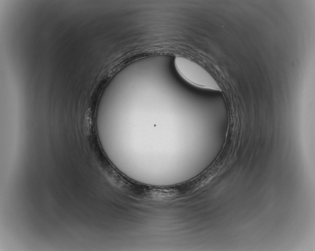 X0000116590707200912101332