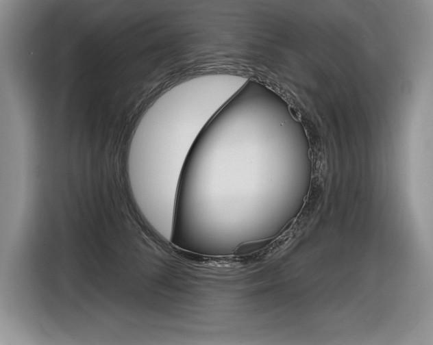 X0000116590708200912101332