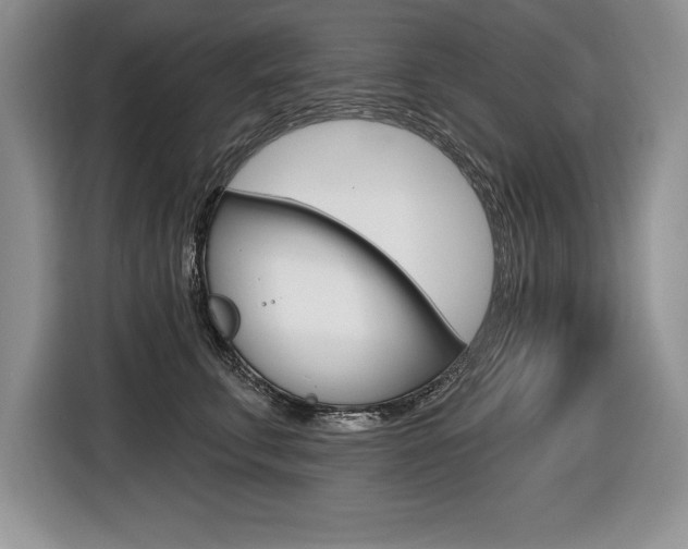 X0000116590711200912101332