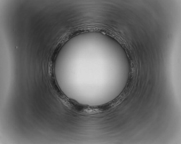 X0000116590712200912101332