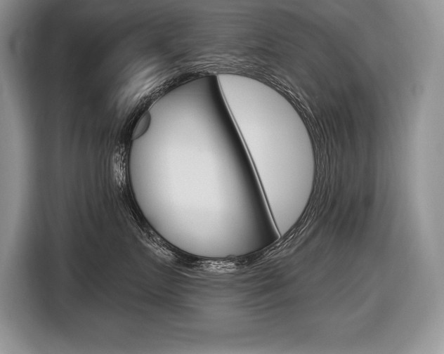X0000116590719200912101332