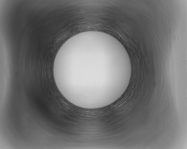 X0000116590720200912101332