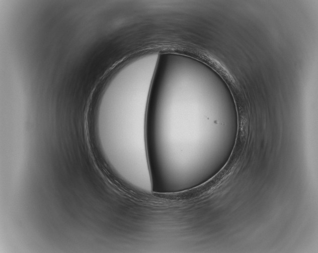 X0000116590722200912101331