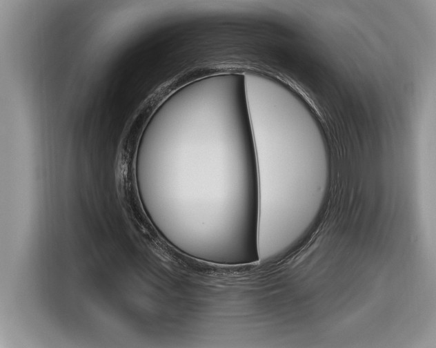 X0000116590723200912101331