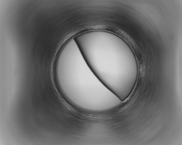 X0000116590725200912101331