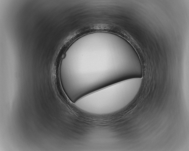 X0000116590727200912101331