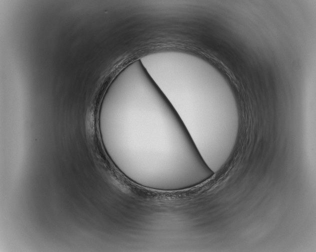 X0000116590729200912101331