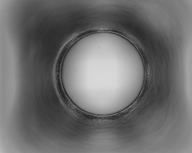 X0000116590730200912101331