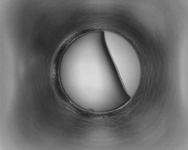 X0000116590731200912101331