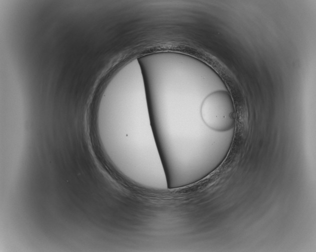 X0000116590734200912101331