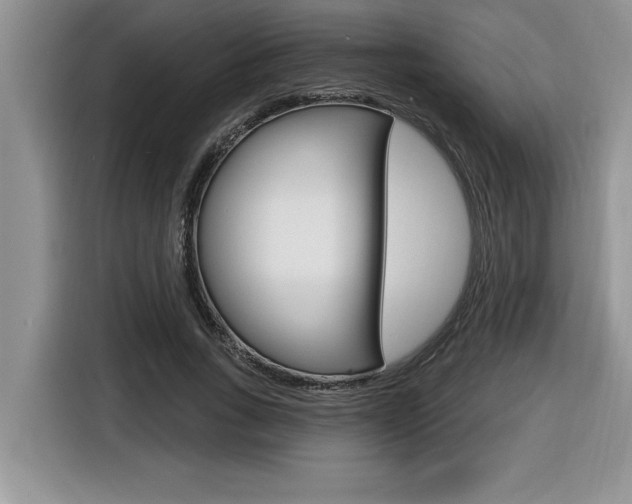 X0000116590735200912101331
