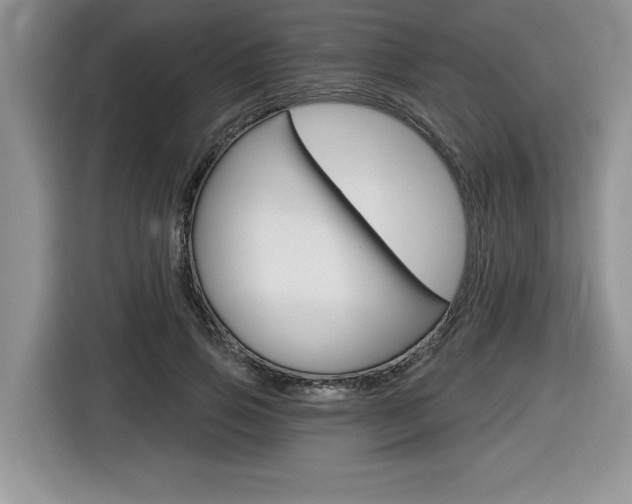X0000116590741200912101331