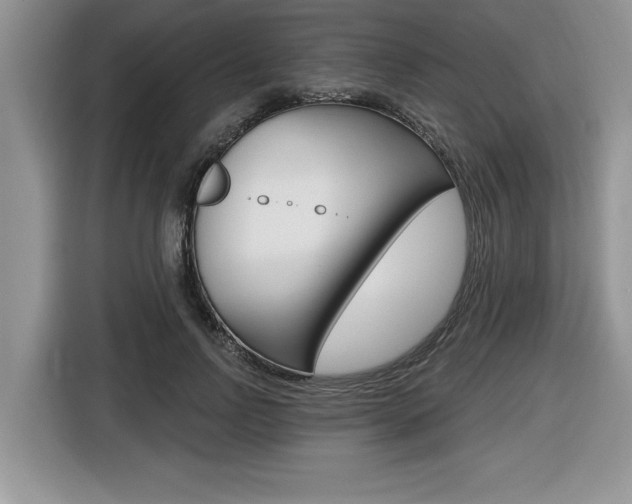 X0000116590742200912101331