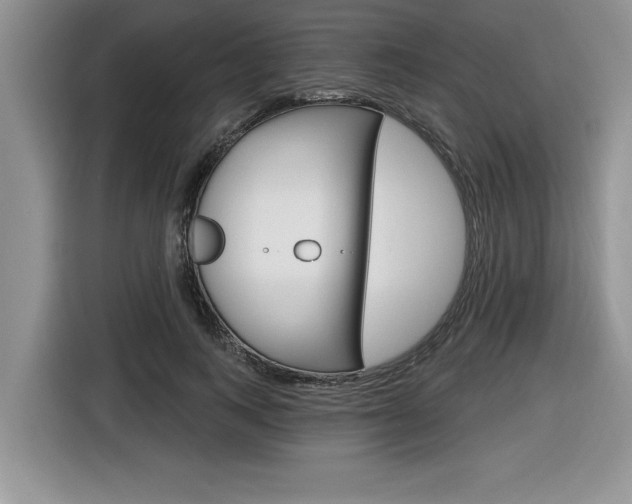 X0000116590743200912101331