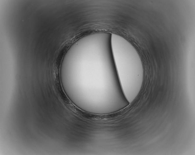 X0000116590747200912101331