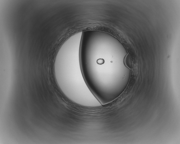 X0000116590750200912101332