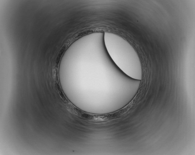 X0000116590753200912101332