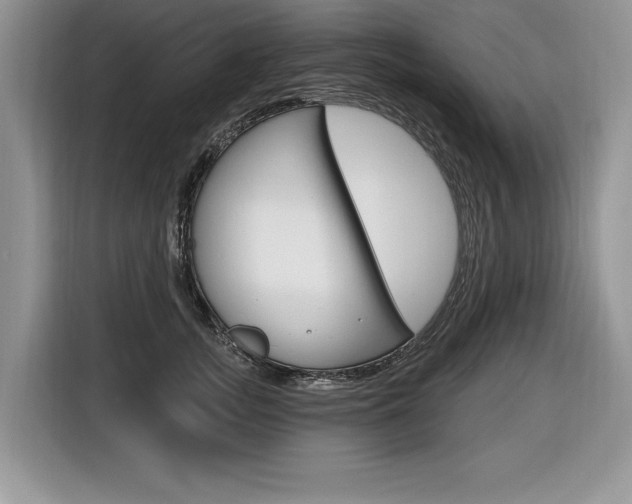 X0000116590755200912101332
