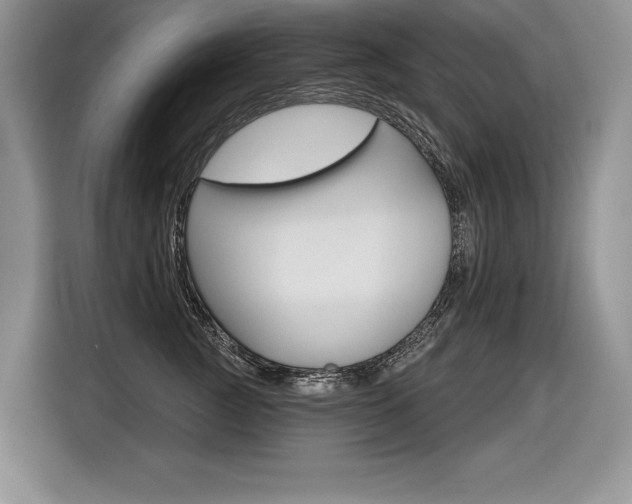 X0000116590761200912101332