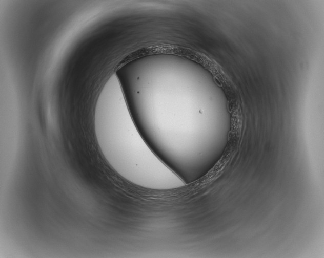 X0000116590762200912101332