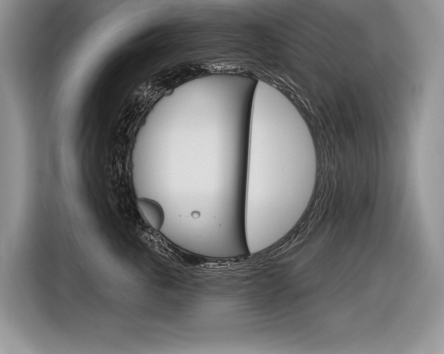 X0000116590763200912101332