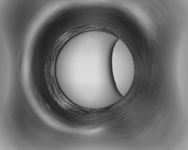 X0000116590765200912101332