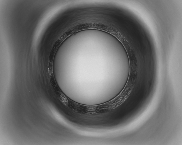 X0000116590766200912101332