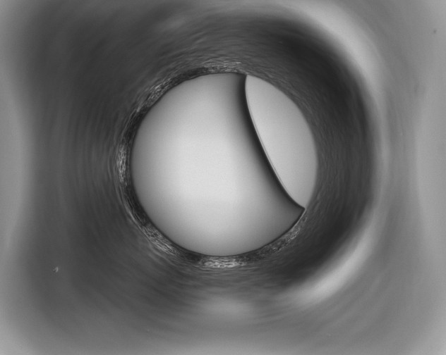 X0000116590767200912101332