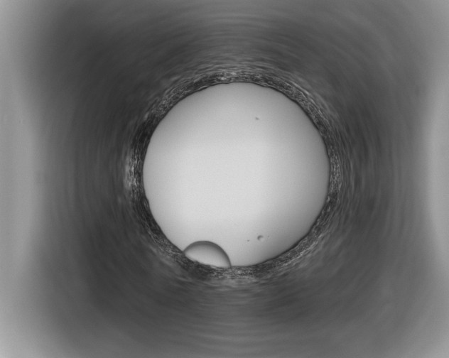 X0000116590770200912101331
