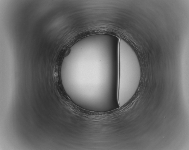 X0000116590771200912101331