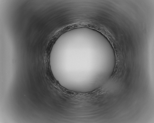 X0000116590773200912101331