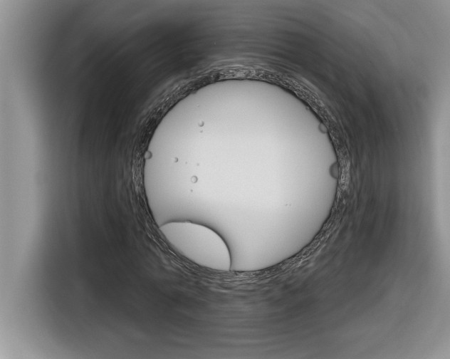 X0000116590774200912101331