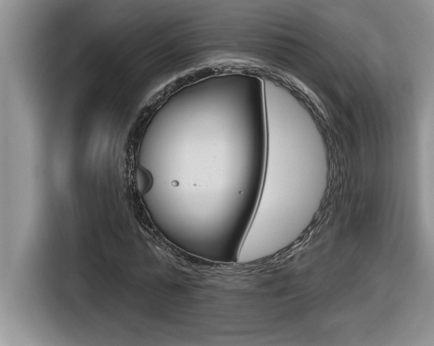 X0000116590775200912101331