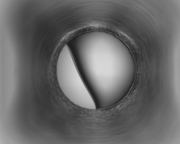 X0000116590776200912101331