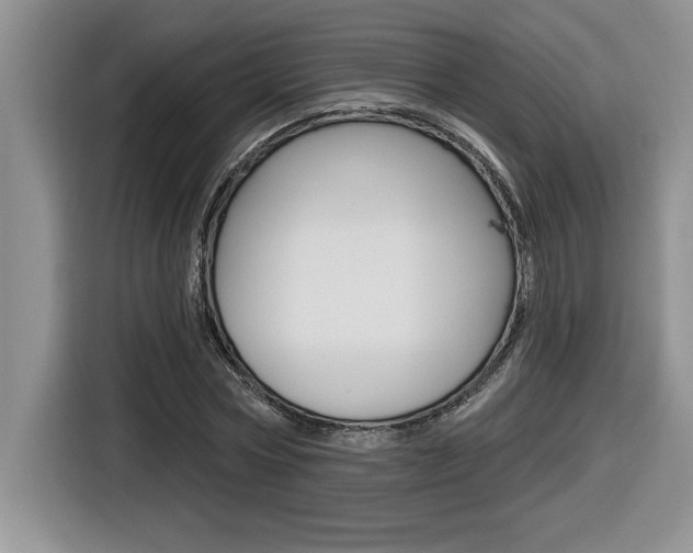 X0000116590778200912101331