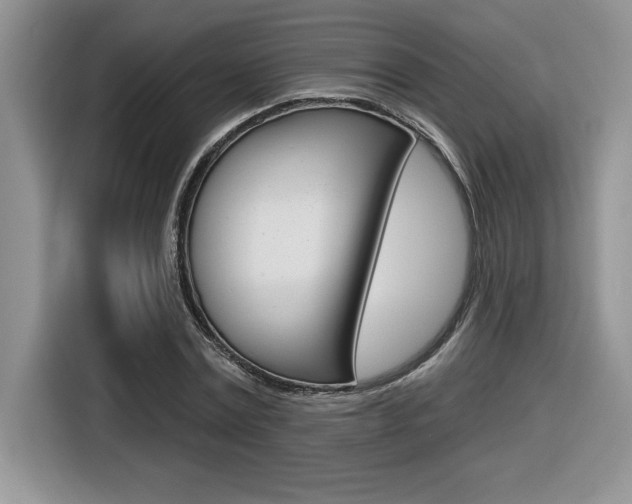 X0000116590779200912101331