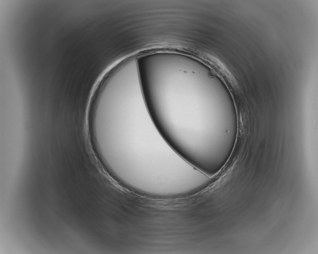 X0000116590780200912101331
