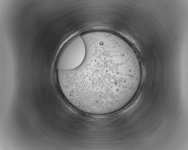 X0000116590782200912101331