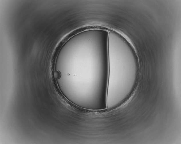 X0000116590783200912101331