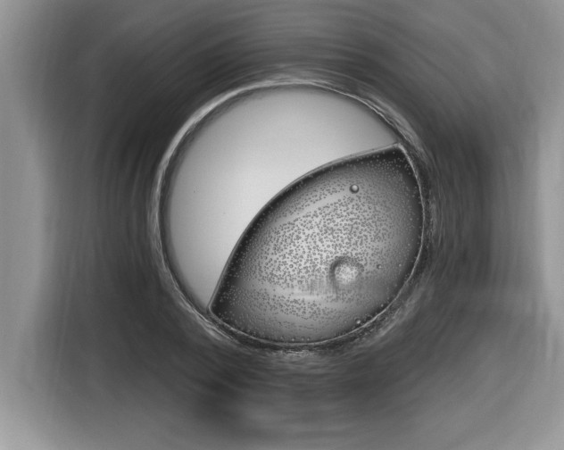 X0000116590784200912101331